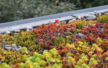 the cost of Woolridge green roof installation